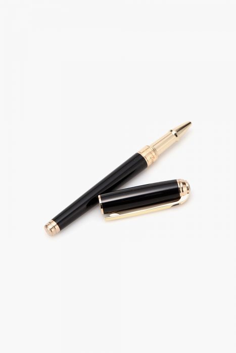 뉴 라인D 수성펜 골드 CB412101M